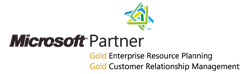 Microsoft Partner